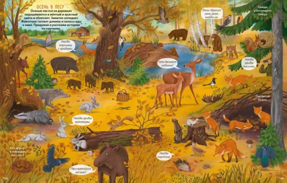 Виммельбух с наклейками. В лесу