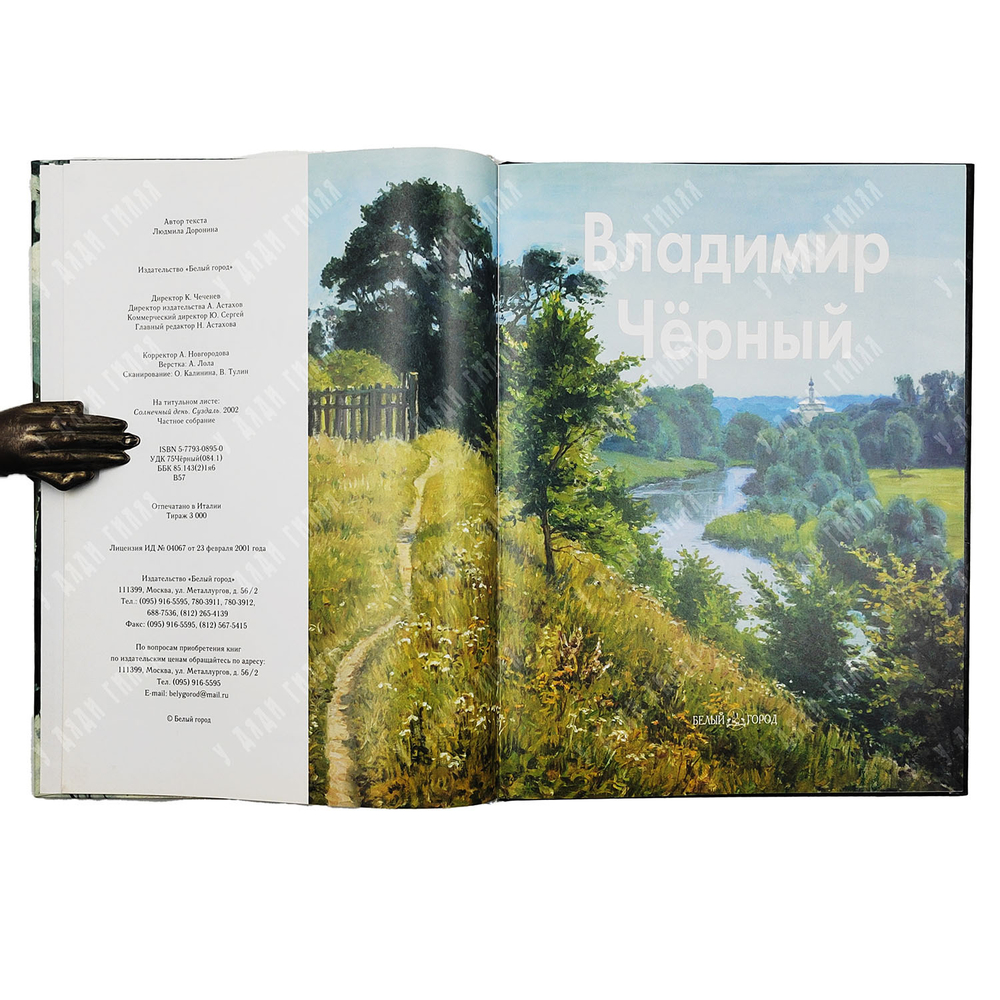 Доронина Л. Владимир Черный. — М.: Белый город. 2005