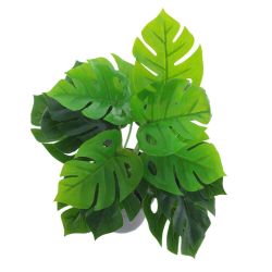 GAEM Цветочная композиция "Монстера", L33 W33 H35 см