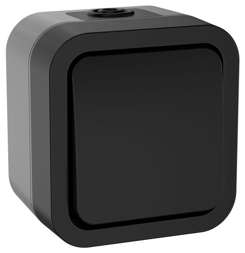 Выключатель 1-кл. 2п ОП TORS TS111 10А IP55 графит IEK TS-V16-0-10-55-K53 Выключатель 1-кл. 2п ОП TORS TS111 10А IP55 графит IEK TS-V16-0-10-55-K53