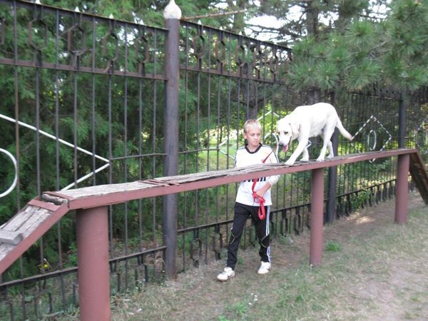 Правильное воспитание залог вашего спокойствия