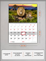 Настенный отрывной календарь "Лев со львенком"