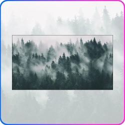 Фотообои 3d на стену флизелиновые Туманный лес 500х270 см Luxury Walls AM13105