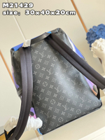 Louis Vuitton Discovery Backpack