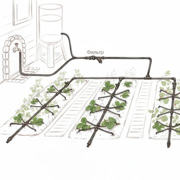 Новинка в системах капельного полива