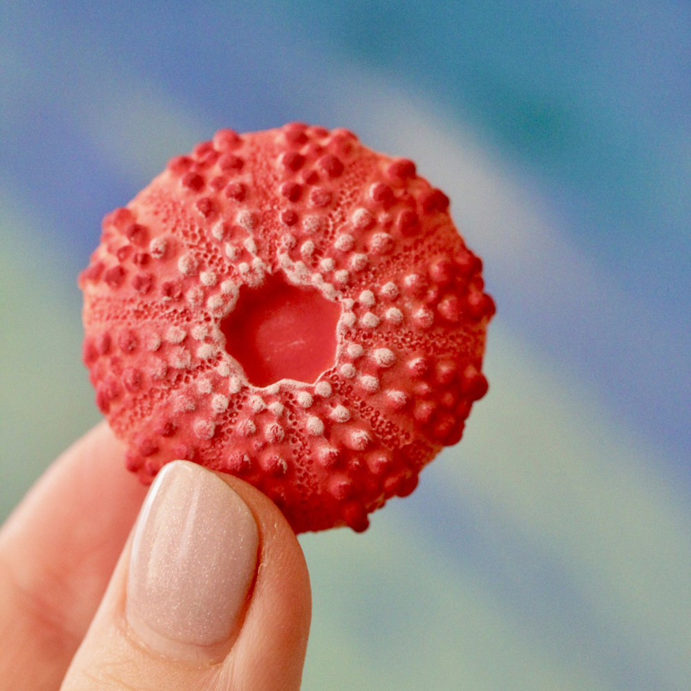 Молды силиконовые для творчества "Набор 3 молда: ракушка, морской ёж, морская звезда"/ форма для полимерной глины, мыла, воска, гипса и эпоксидной смолы