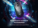Мышь ThundeRobot ML903 черный