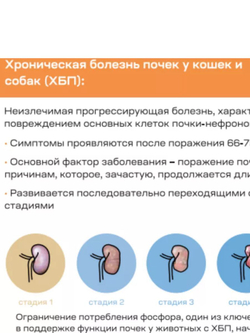 ПРОРЕНТИН для кошек и собак, порошок для приема внутрь,180 г