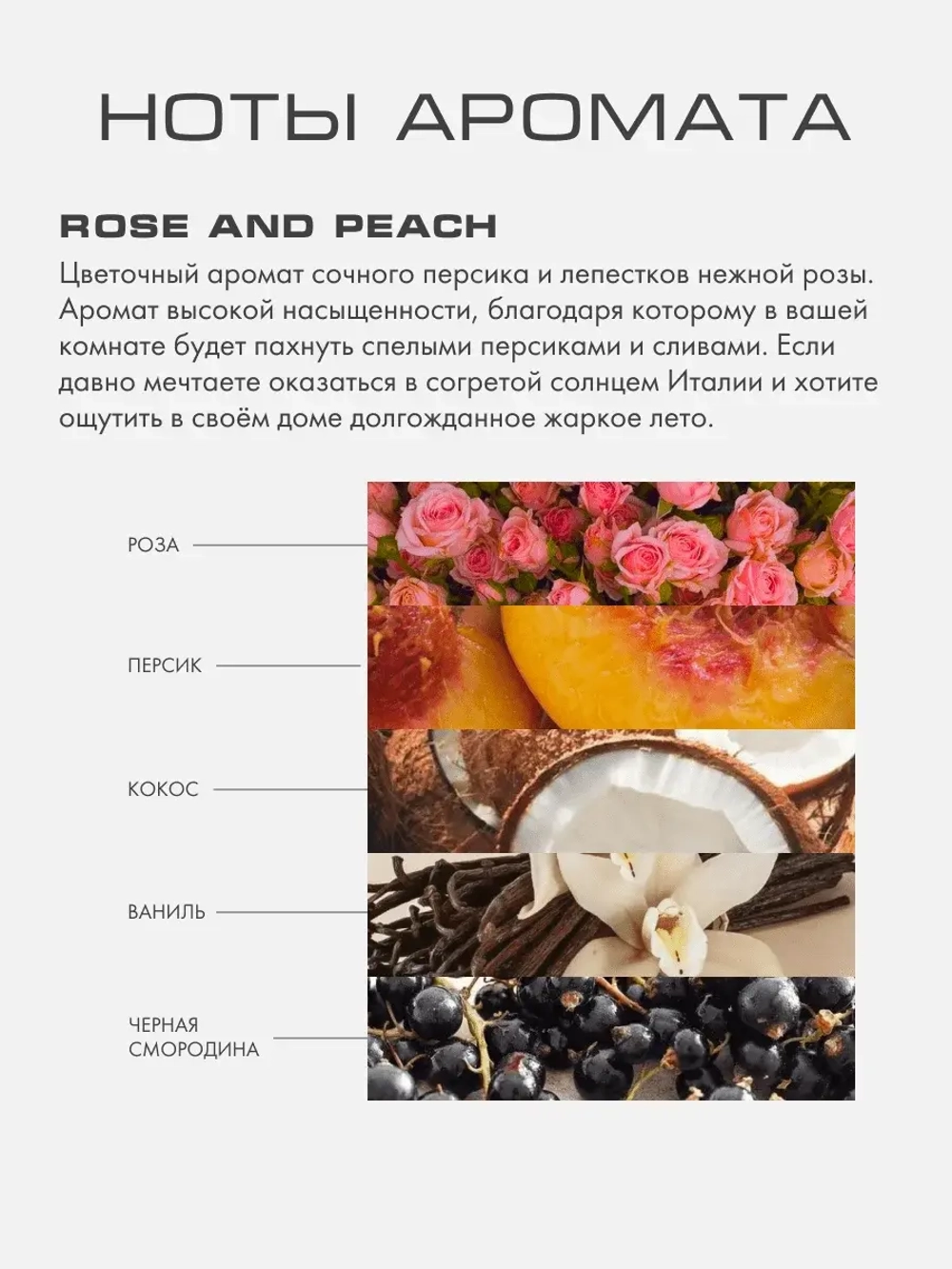 Rose and Peach M