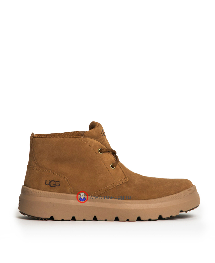 MEN'S BURLEIGH CHUKKA Chestnut