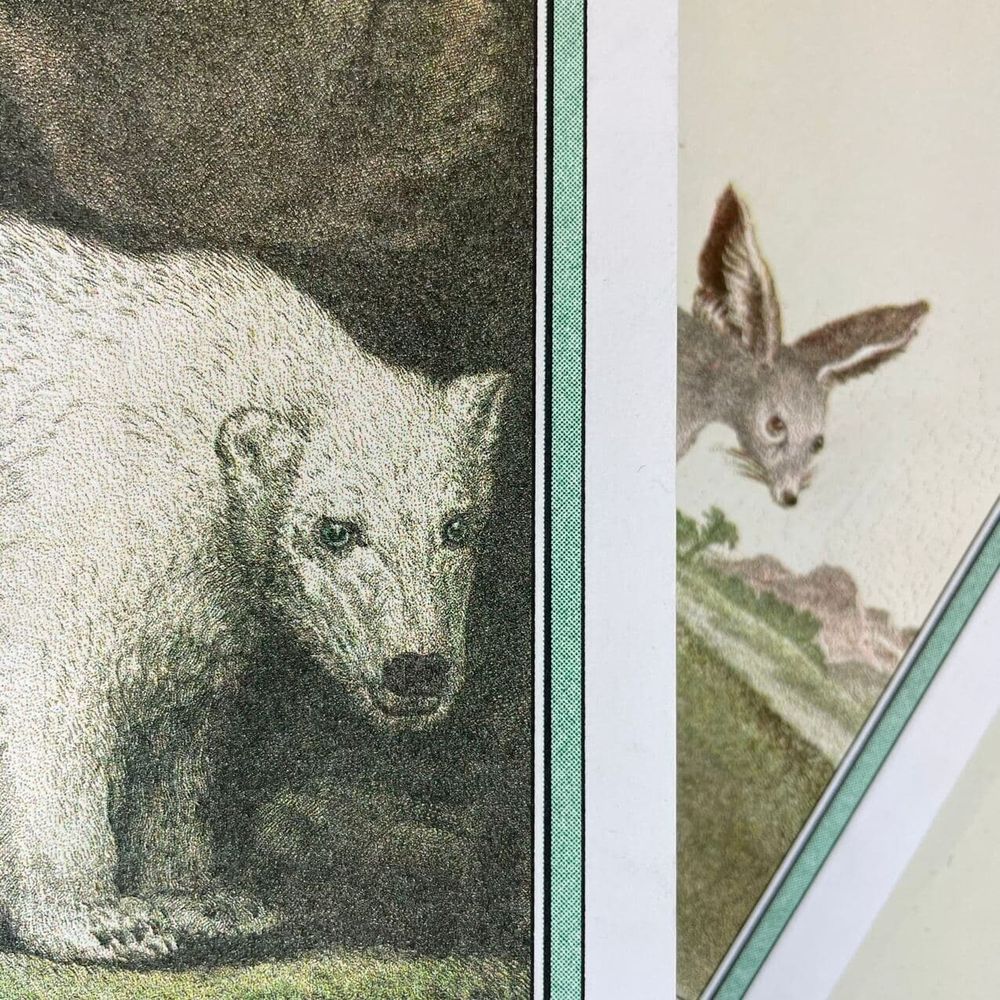 Блокнот Esh Print L'ours Blanc