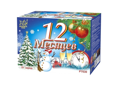 Салют 12 месяцев