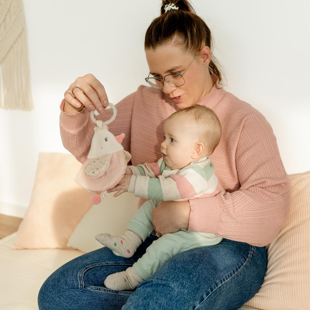 Мягкая игрушка-книжка с подвесом Птичка