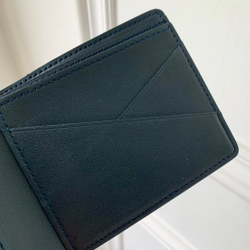 Louis Vuitton Multiple Wallet
