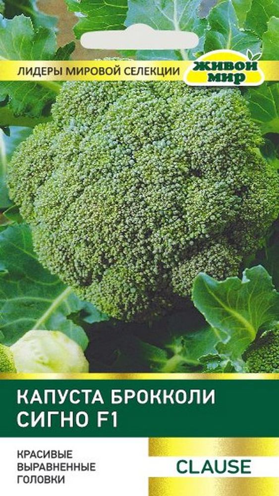 Капуста брокколи "ЖМ. Сигнo F1" 1г., Франция.