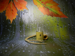 Автопарфюм  Blackberry & Bay 12ml