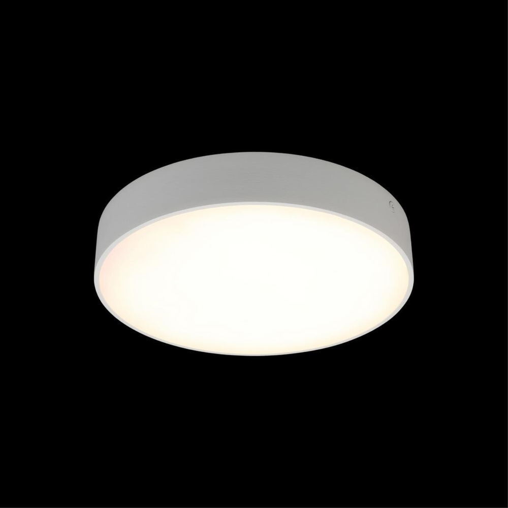 Потолочный светодиодный светильник Aployt Evon APL.0113.09.24