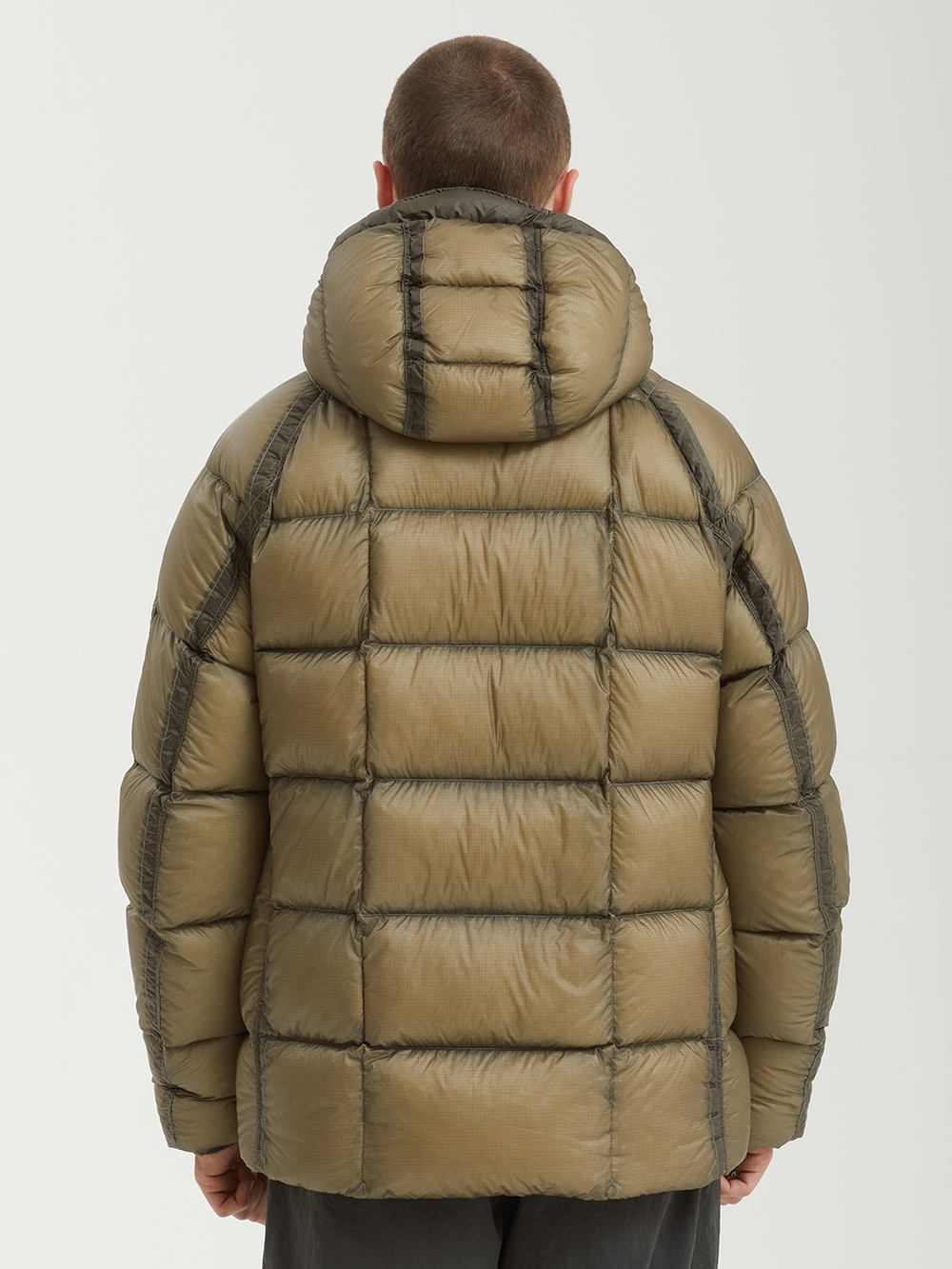 Мужской Пуховик In Dd-shell