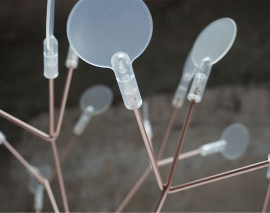 Люстра Heracleum D50