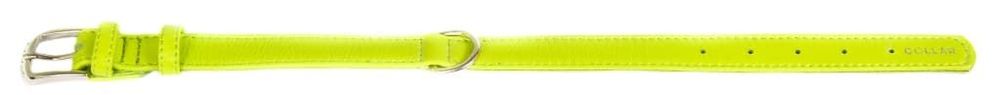 Ошейник "CoLLaR Glamour" без украшений зеленый ширина 20мм, длина 30-39см