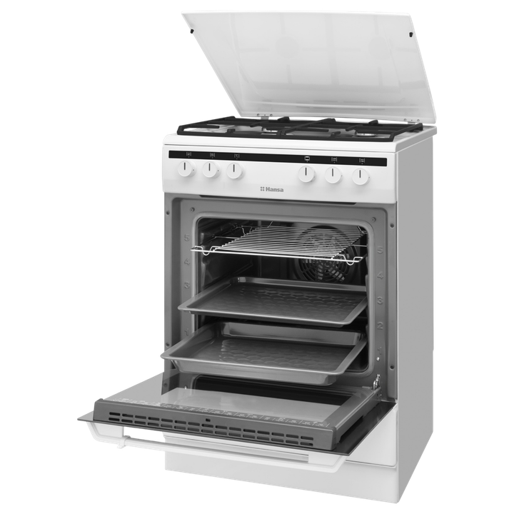 Комбинированная плита Hansa FCMW68020