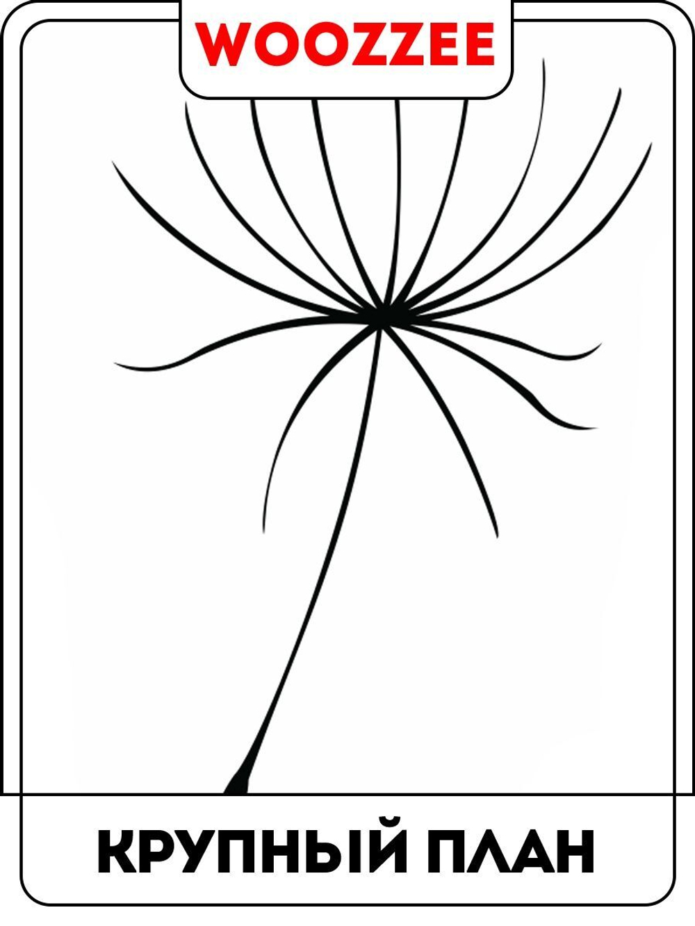 Наклейка декоративная "Одуванчики, следуй за мечтой"