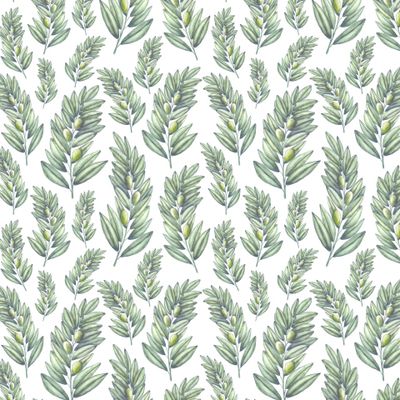 Оливки и листья на белом фоне.