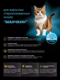 Корм для стерилизованных кошек породы Манчкин, лосось 2 кг
