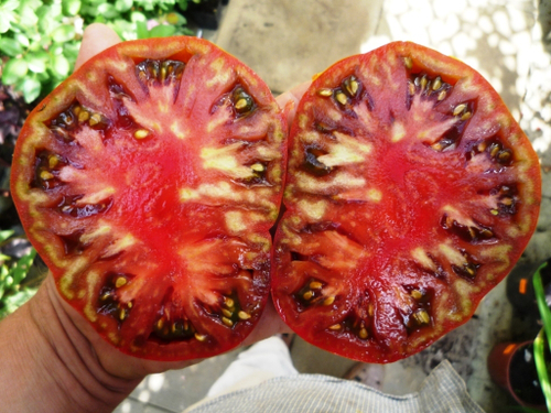 Помидоры Арбузные