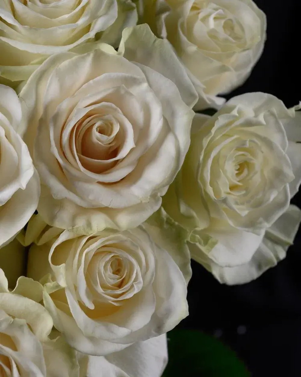 Букет из 15 белых роз (Мондиал 50 см)