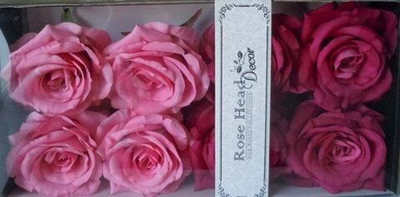 Набор из 8 головок роз бордо/розовый