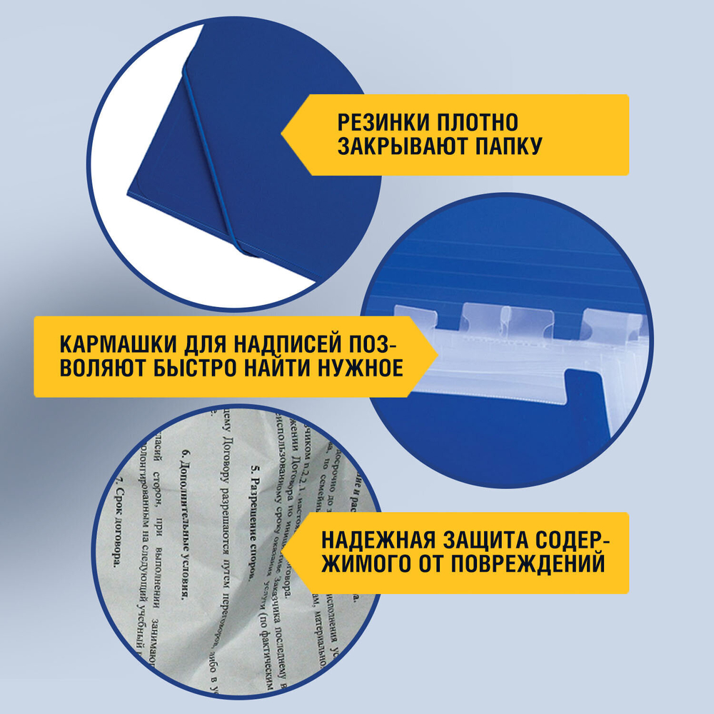Папка на резинках BRAUBERG "Business" А4 13 отделений пластиковый индекс синий 0 5 мм (3 штуки в упаковке)