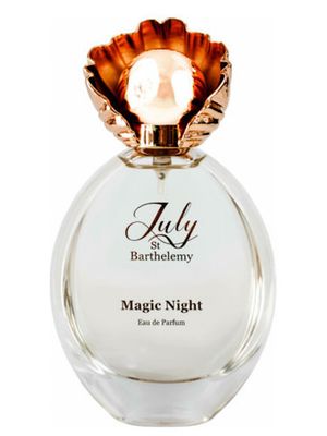July St Barthelemy Magic Night