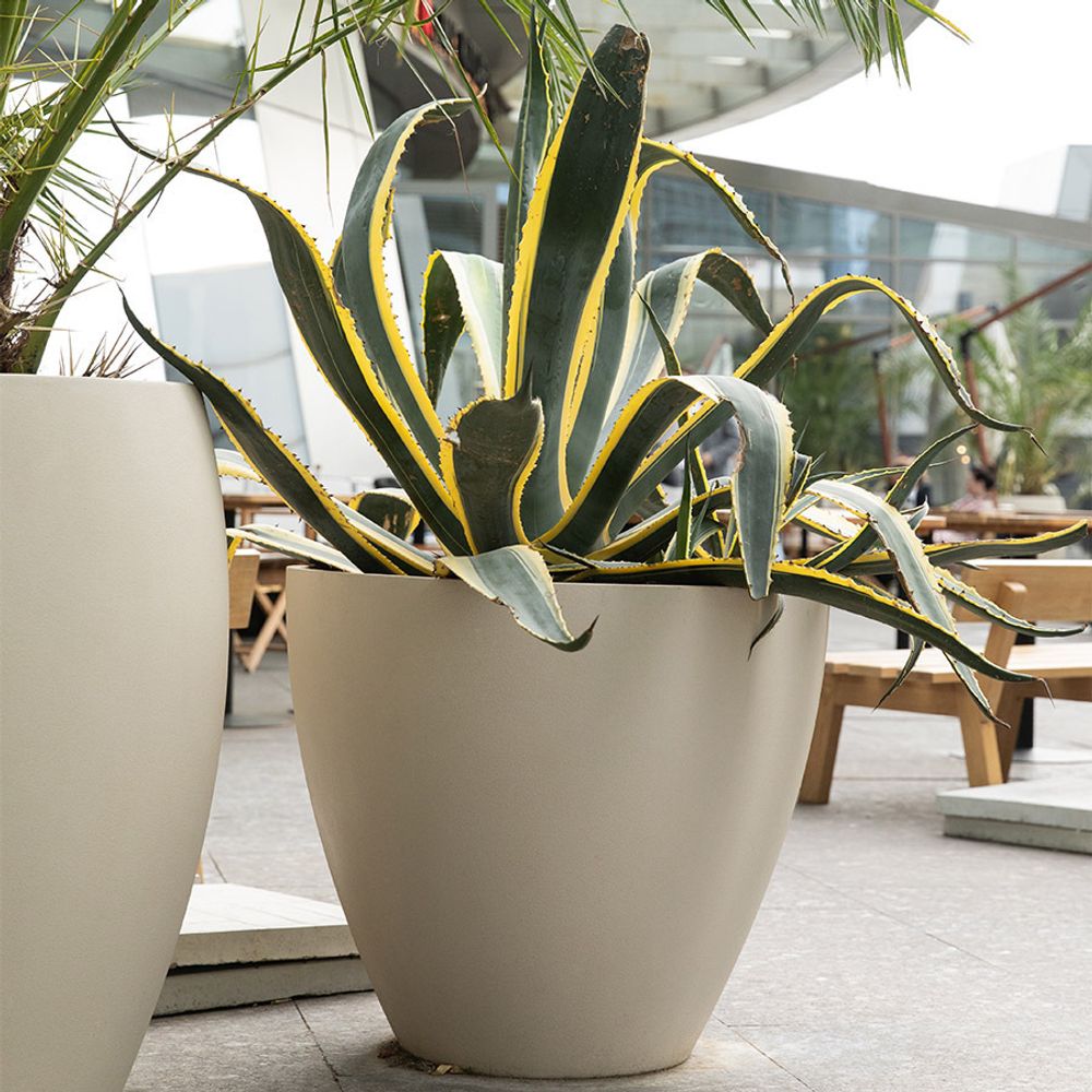 Кашпо UPON SAHARA D85 H75