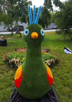 Топиарная фигура Павлин