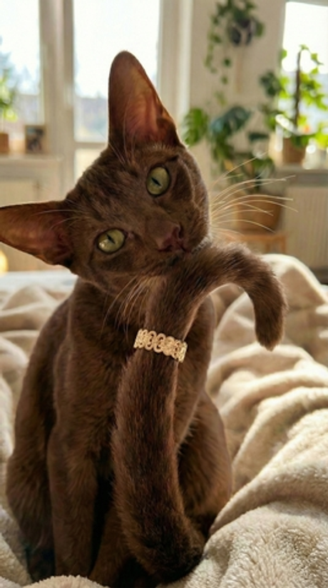 Кольцо "Тайт"