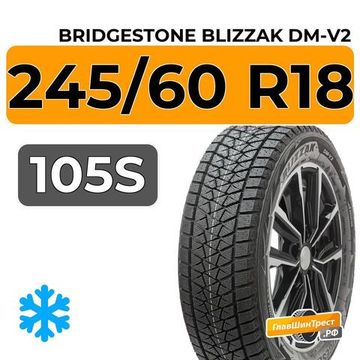 Bridgestone Blizzak DM-V2 245/60 R18 105S