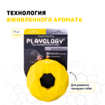 Playology  жевательное кольцо-многогранник CHANNEL CHEW RING для собак средних и крупных пород с ароматом курицы, цвет желтый