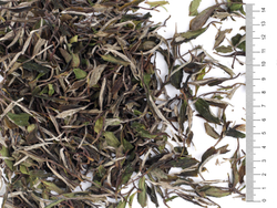 0971к Чай белый "Бай Му Дань" коллекционный №300