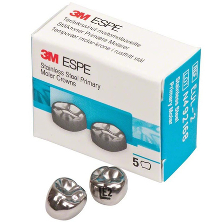 Второй верхний левый моляр, размер 2 (E-UL-2)