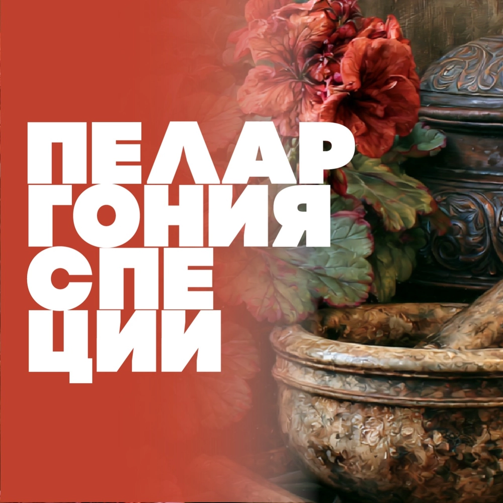 Пеларгония специи