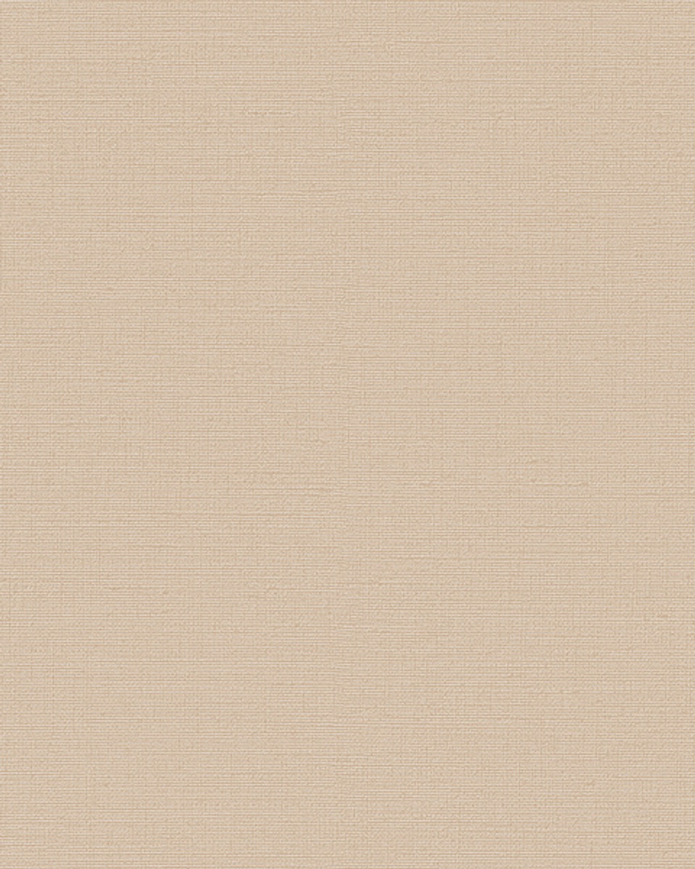 Обои DID Trend Art R75027-5 1.06x10