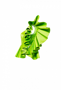 Топ лаймовый 16-04-22 SS