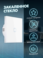 Выключатель сенсорный одноклавишный для дома