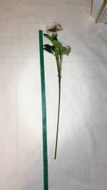 пионовидные светло-розовые