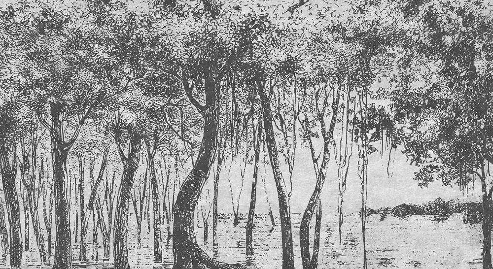 Дизайнерские обои Wall Street Estampe