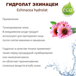 Гидролат эхинацеи / Echinacea hydrolat