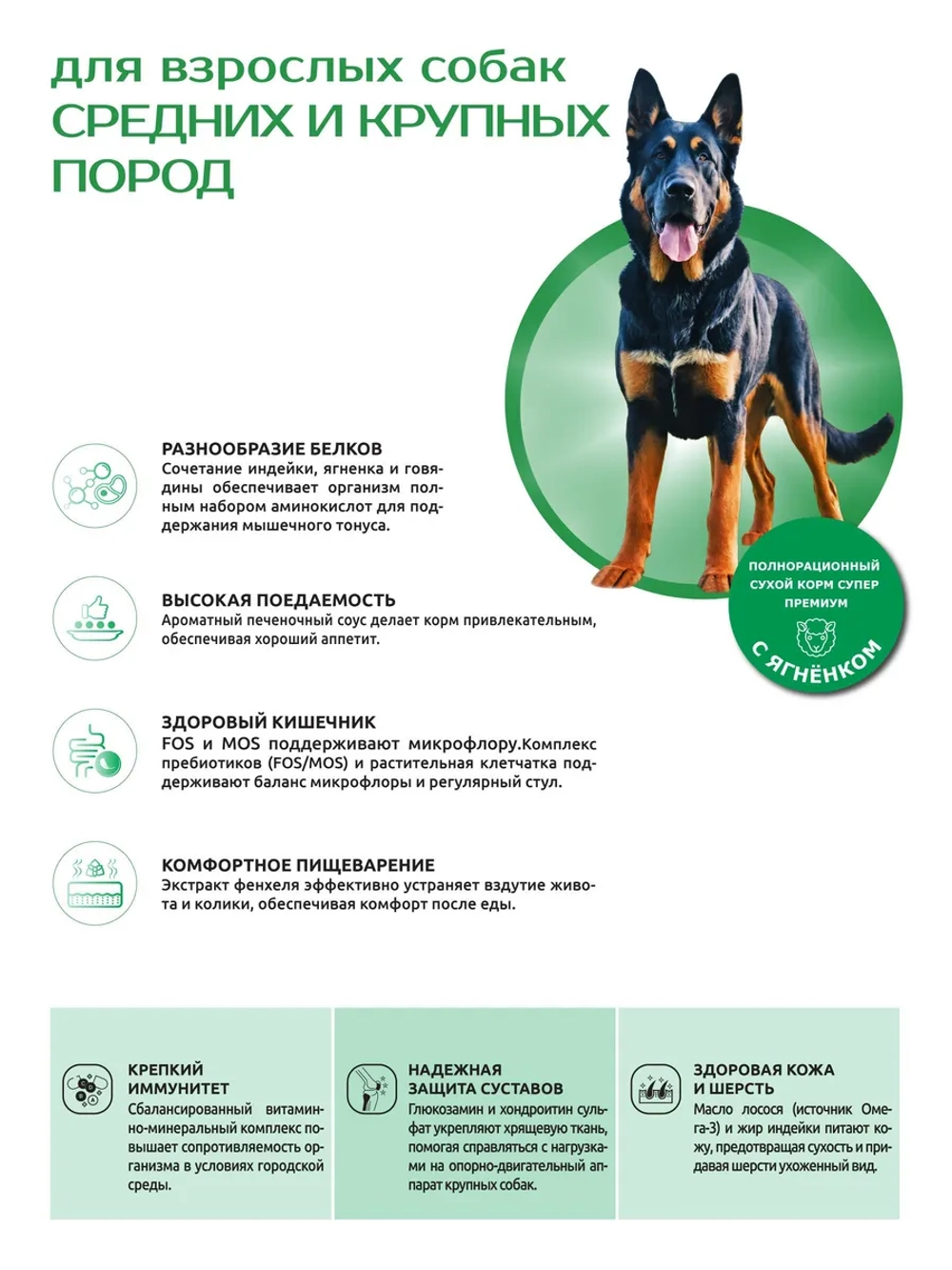 Корм для собак средних и крупных пород, с ягненком, 3 кг