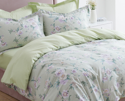 Постельное белье СайлиД BR-013 сатин