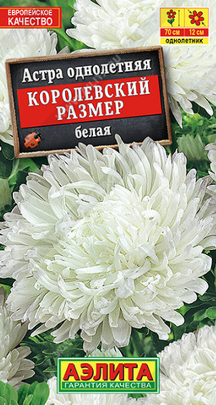 Астра Королевский размер белая 0,1гр Пионовидная Аэлита